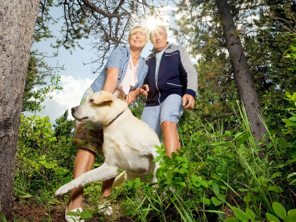 iStock-109720365