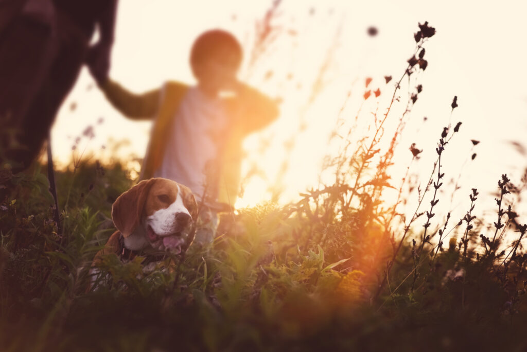 iStock-909142444